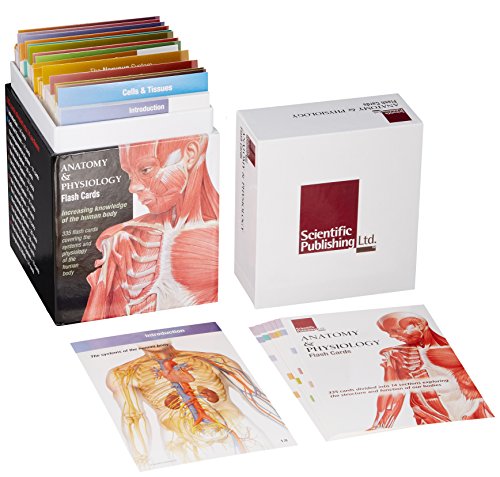 Anatomy & Physiology Flash Cards - Study Guide for Medical Students & Nursing School | Perfect for Exam Prep & Classroom Learning