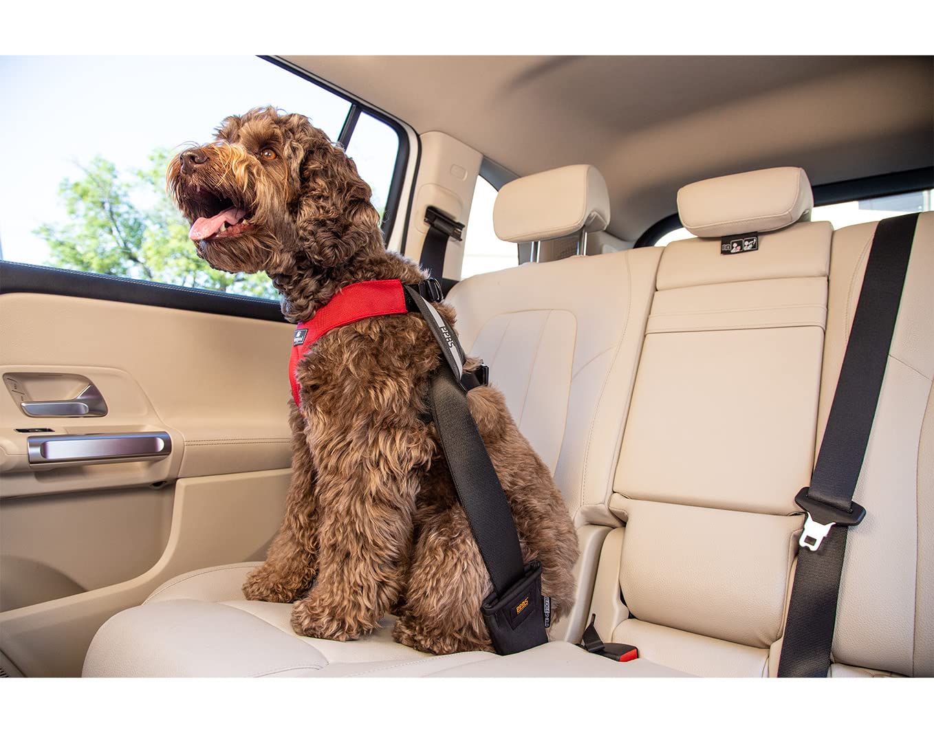 Clickit Sport Plus - Crash-Tested & Safety Certified Dog Car Seat Belt Harness - Medium Size, Robin Egg Blue - Secure Your Pet During Road Trips & Daily Commutes