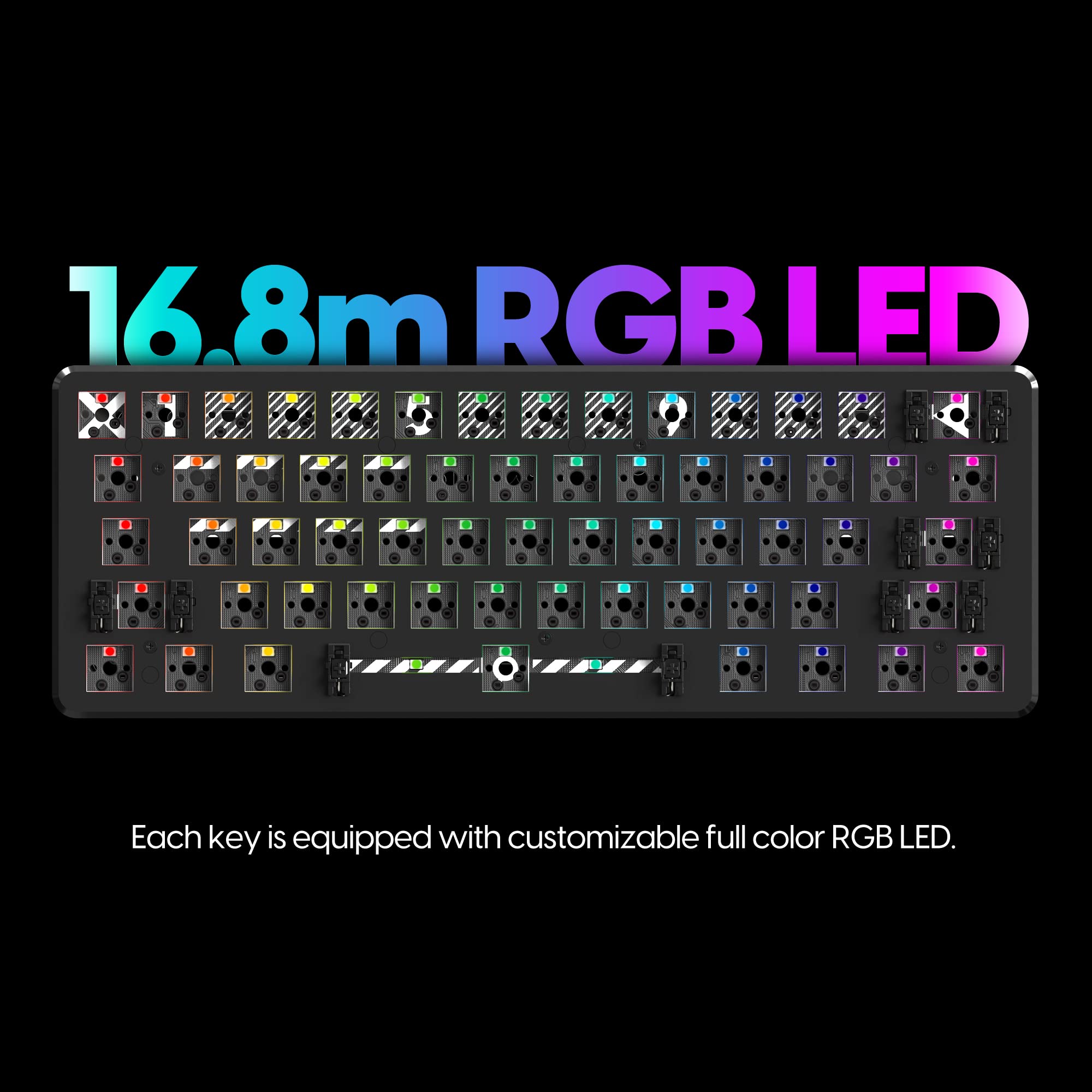Pulsar 60% Hot Swappable Mechanical Gaming Keyboard - ANSI Layout, Barebone Black | Compact RGB Backlit Keyboard for PC Gaming, Esports & Office Work