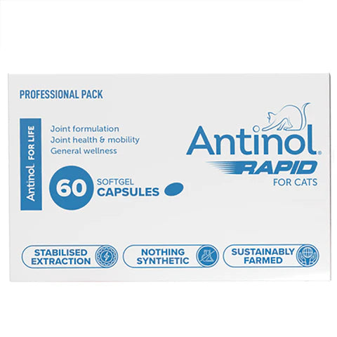 Antinol Rapid Joint Supplement for Cats - 60 Soft Chews | Supports Mobility & Joint Health | Ideal for Senior Cats & Arthritis Relief