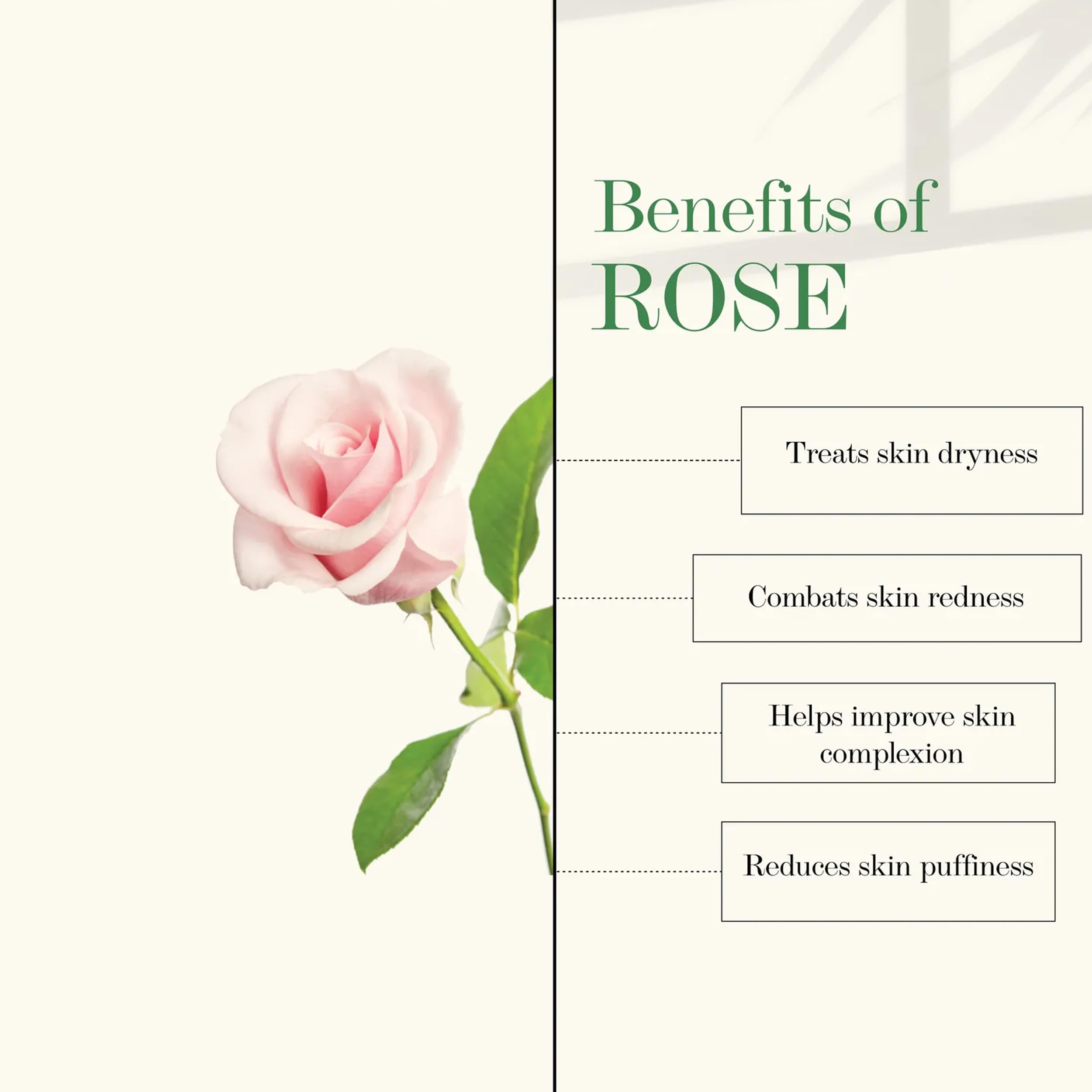 Good Vibes Rose & Mulberry Gel - 50g | Brightening & Hydrating Face Gel for Glowing Skin | Acne Treatment & Hair Loss Prevention | Vegan & Cruelty-Free | Perfect for Daily Skincare & Nighttime Routine