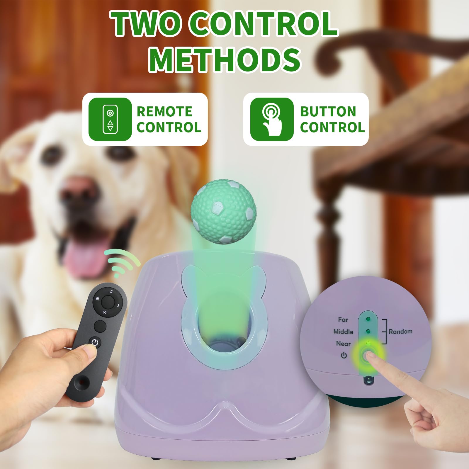 Automatic Dog Ball Launcher for Small to Medium Dogs - Interactive Pet Toy with Remote Control & 3 Tennis Balls (Purple) - Perfect for Backyard Play, Training, and Exercise
