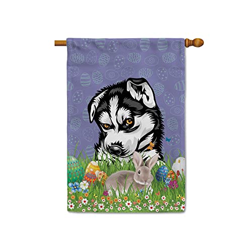 Husky 1