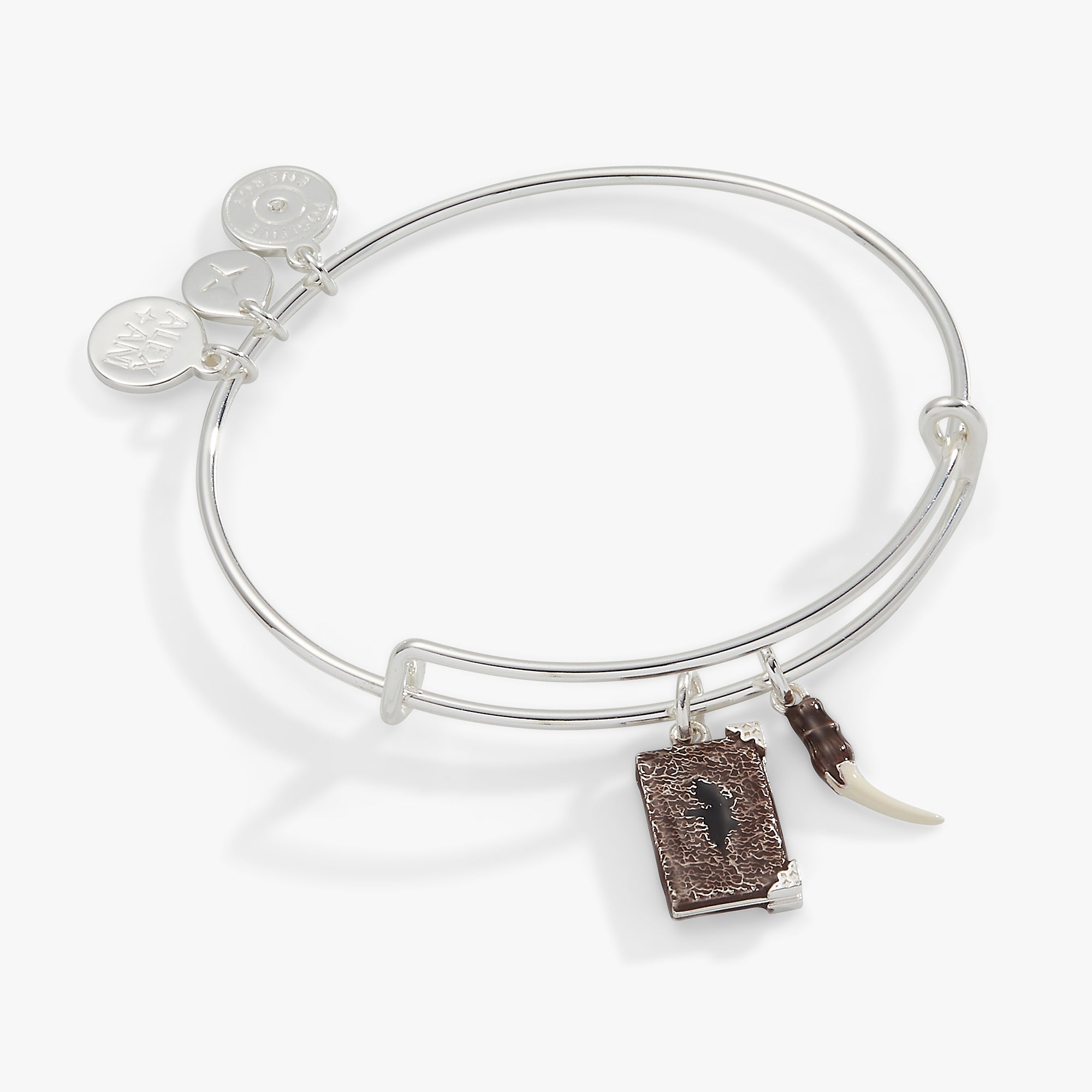Harry Potter™ Diary and Basilisk Fang Bangle - Official Wizarding World Collectible - Perfect for Cosplay, Halloween Costumes, and Harry Potter Fans