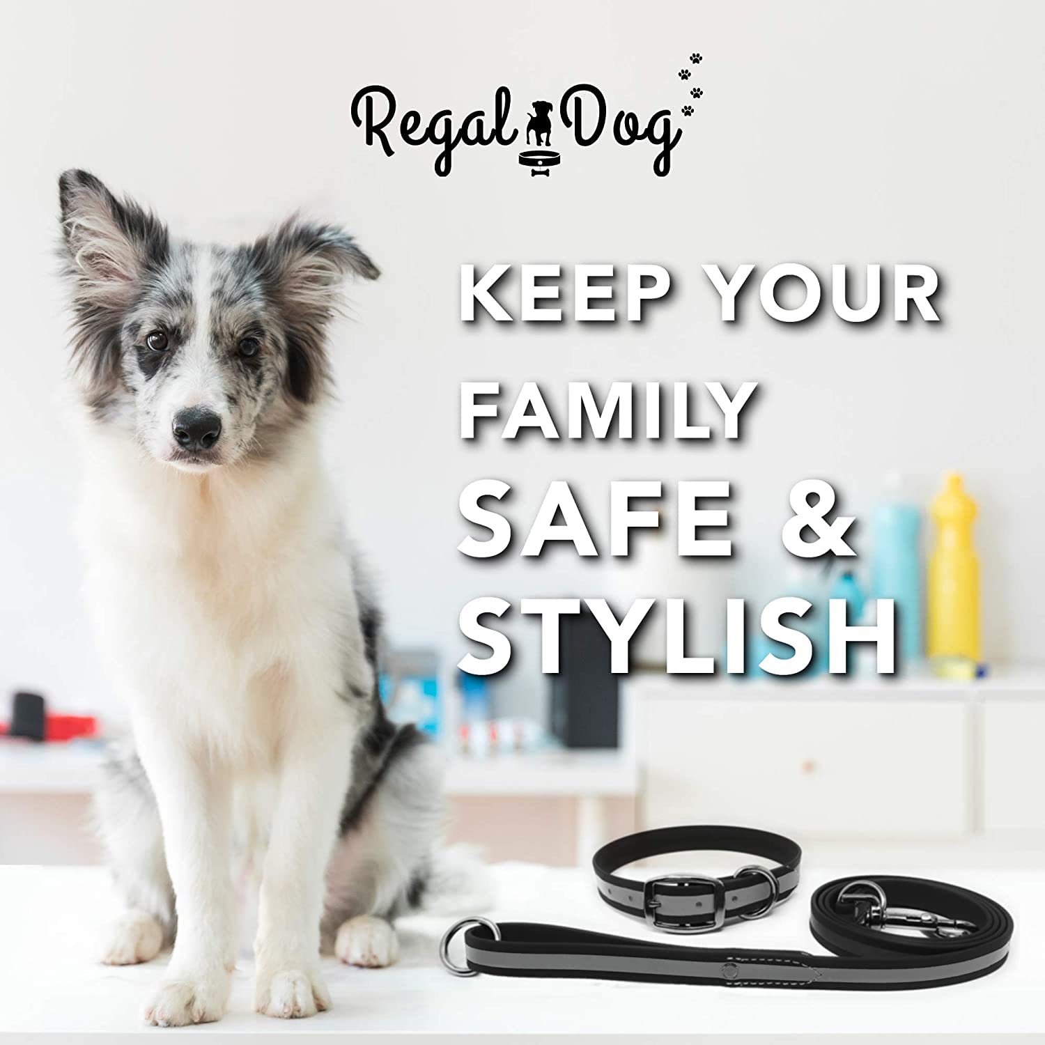 Regal Dog Products Small Black Reflective Dog Collar and Leash Set - Waterproof Biothane Pet Collar with Heavy Duty Double Buckle, D-Ring & 5ft Lead for Small Dogs | Perfect for Night Walks, Training & Outdoor Adventures