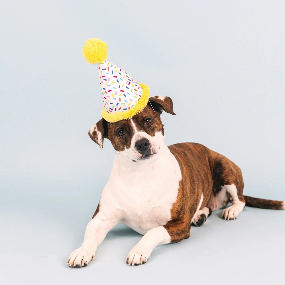 Birthday Hat Dog Plush Toy - Cute Stuffed Animal for Pets & Kids Birthday Parties, Decorations & Gift Giving