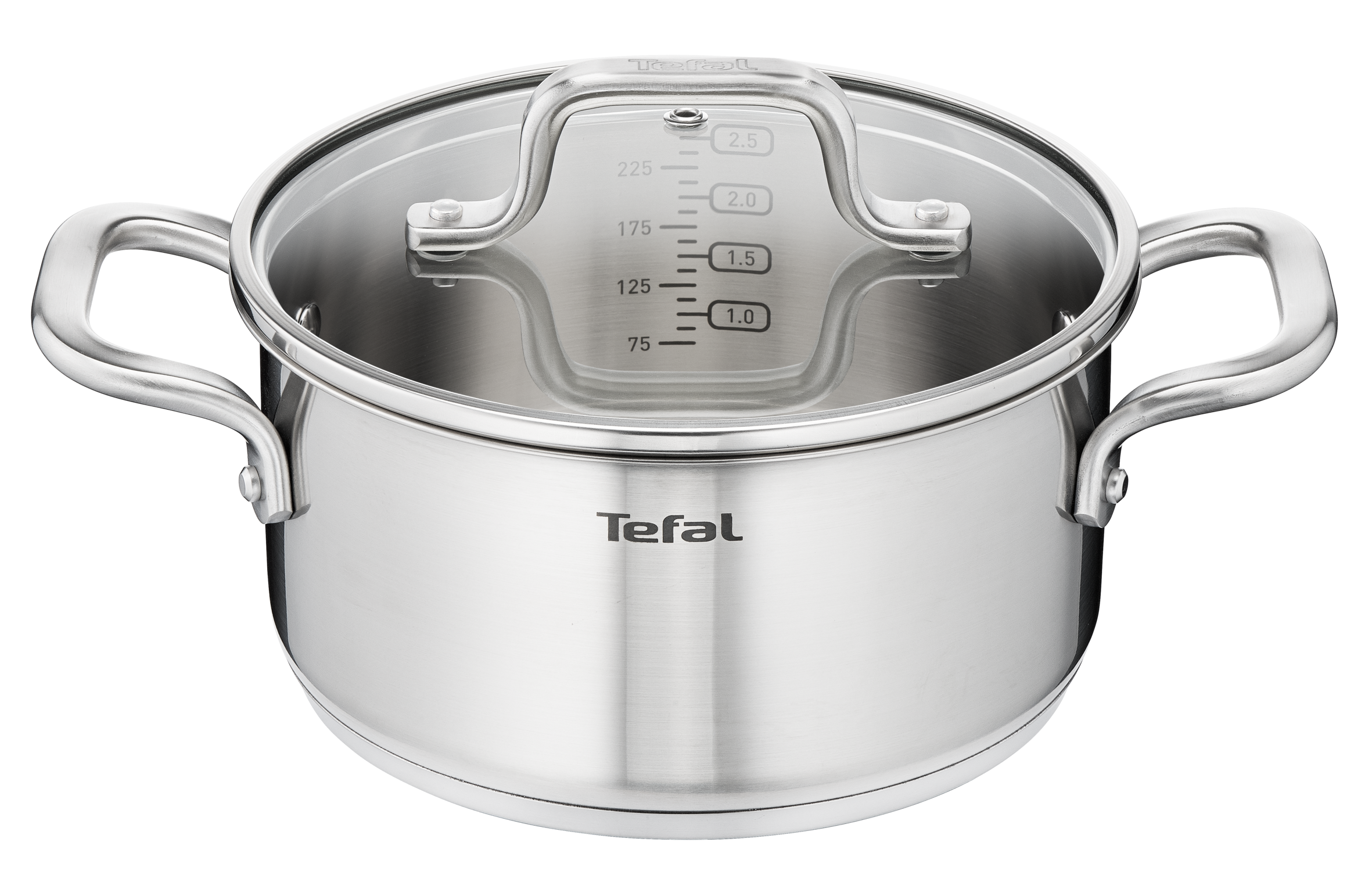Tefal Virtuoso Stainless Steel Induction Stewpot 20cm/3.1L with Lid - Premium Cookware for Soups, Stews & Slow Cooking | Perfect for Gas, Electric & Induction Stoves