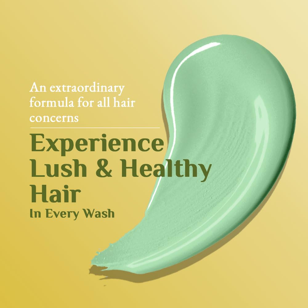 Richfeel Arnica Anti Dandruff Shampoo - 100ml | Eliminates Dandruff Flakes, Controls Excess Oil & Relieves Scalp Itching | For Daily Hair Care & Scalp Health