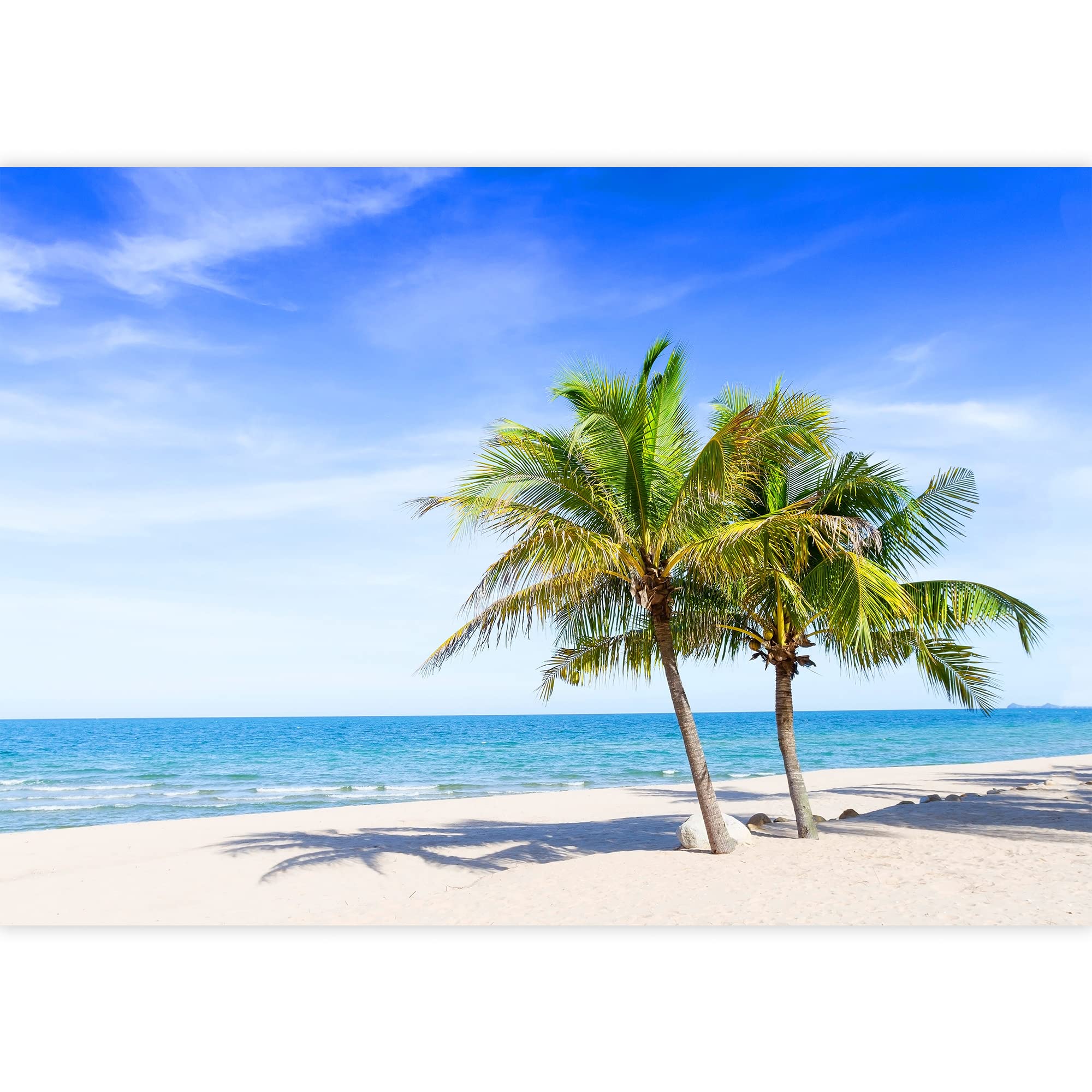 Wall26 Removable Tropical Palm Tree Island Mural - 100