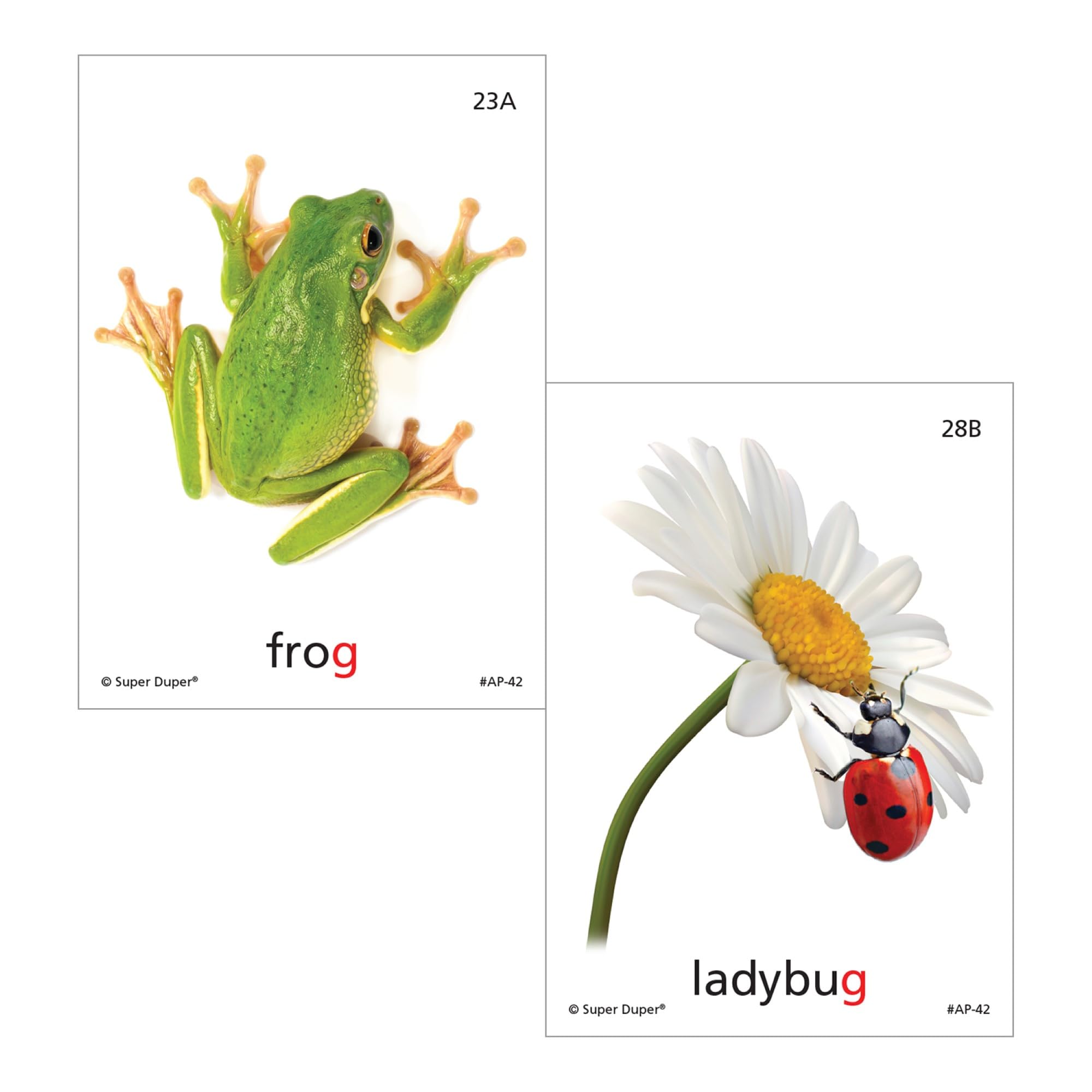 Super Duper Publications Articulation Photos Fun Deck Flash Cards - Speech Therapy & Language Learning for Kids - Perfect for Home, Classroom & Homeschooling