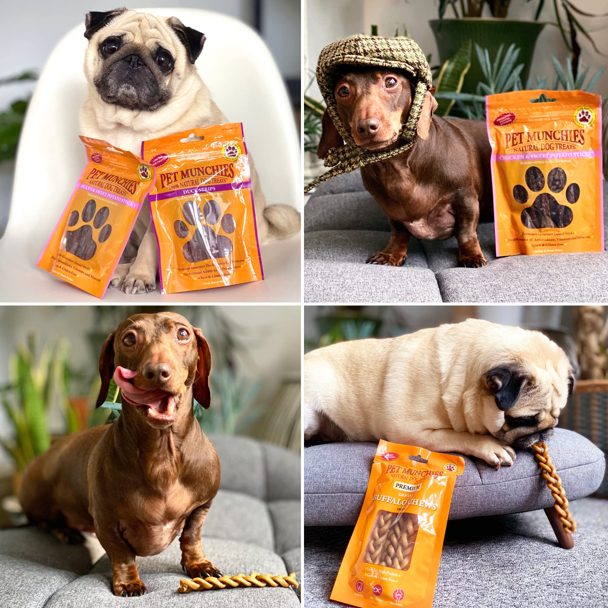 Healthy Natural Chicken Strips Dog Treats - 90g (8 Pack) | Grain-Free, High-Protein Snacks for Training & Rewarding Pets - Perfect for Small, Medium & Large Dogs