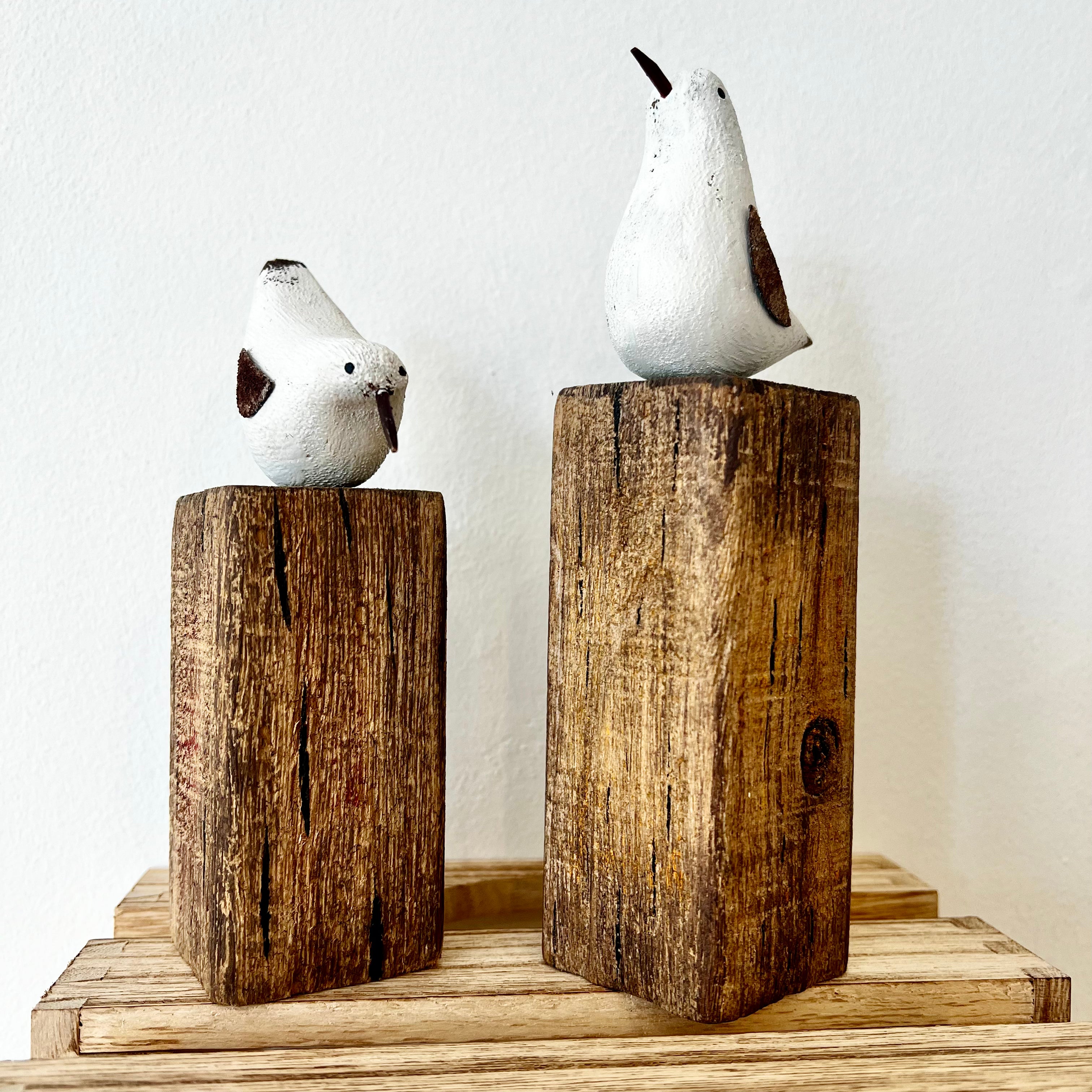 Pair of Seabirds on Driftwood Wall Art - Handmade Coastal Decor for Beach House, Living Room & Office - Nautical Themed Home Accent