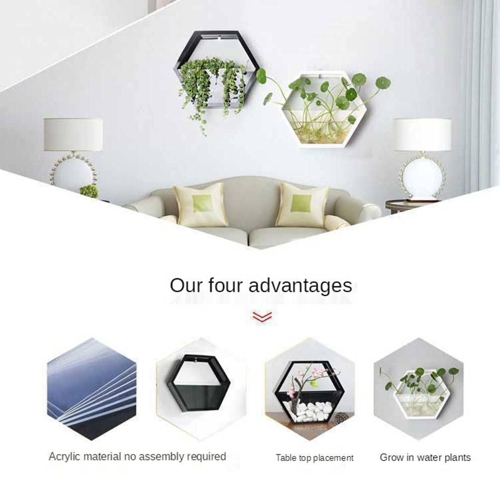 SSZ Creative Wall Hanging Hydroponic Plant Pots with LED Lights - White Small Indoor Garden Decor for Living Room, Bedroom, Office - Perfect for Home Decor, Vertical Gardening & Urban Farming