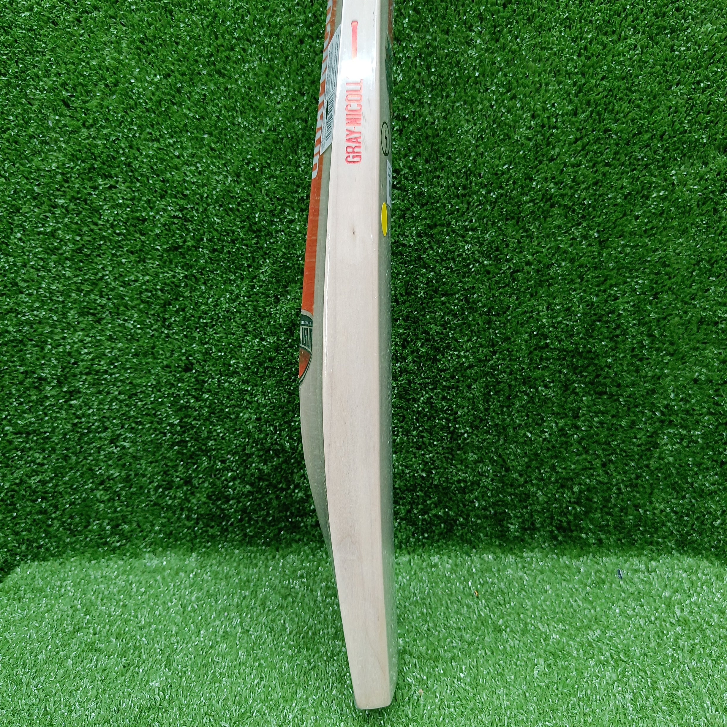 Gray Nicolls 9 Excalibur Harrow English Willow Cricket Bat - Premium Cricket Equipment for Professional & Amateur Players - Perfect for Matches, Training & Outdoor Sports