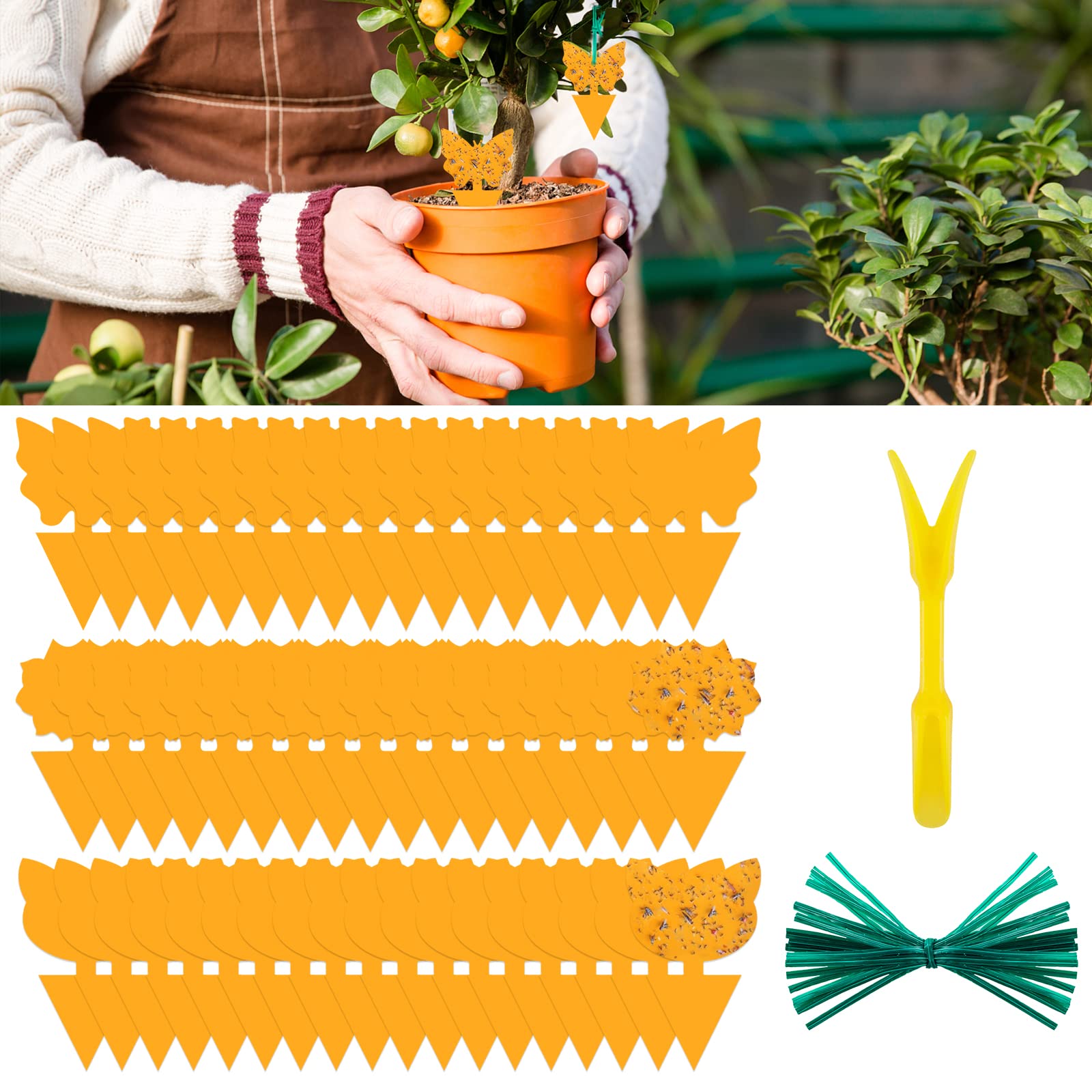 48 Pack Sticky Gnat Traps for Indoor Plants - Fruit Fly & Fungus Gnat Catcher - Non-Toxic Insect Traps for Houseplants, Kitchen, and Garden - Protect Your Plants from Pests (Great for Home, Office, and Greenhouse Use)