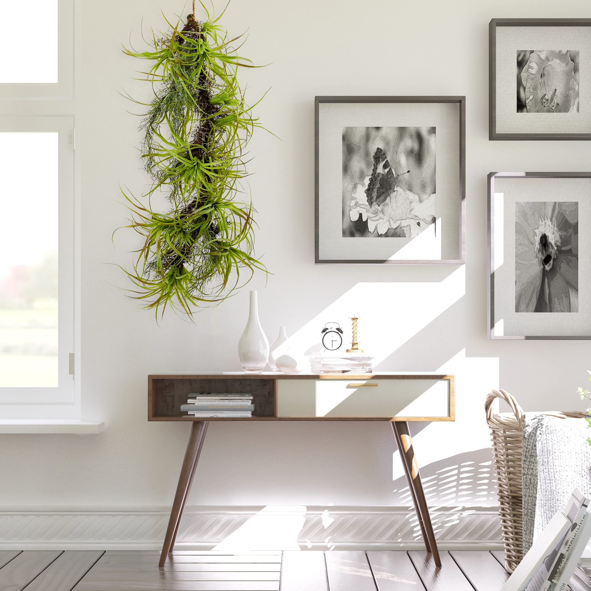 Nearly Natural 48 Inch Artificial Hanging Air Plant - Faux Tillandsia for Home Decor, Office, Bathroom & Indoor Greenery