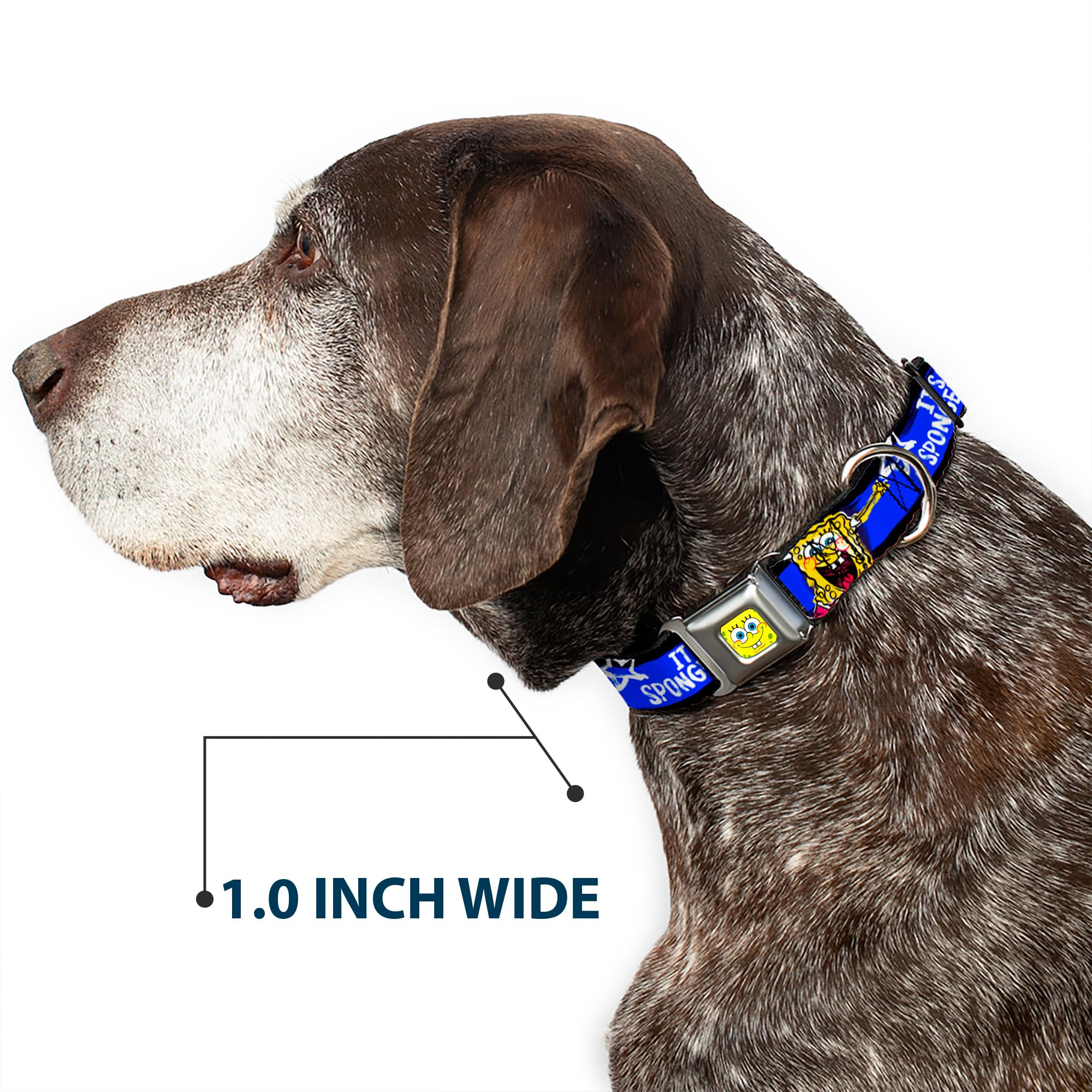 **SpongeBob Dog Collar with Seatbelt Buckle - Adjustable 9-15 Inches, 1.0 Inch Wide - Black, Blue & White Stripes - Perfect for Pet Safety & Cartoon Lovers**    *(Use Cases: Great for walking, training, or car rides with your pet; ideal for SpongeBob fans and stylish dog accessories.)*
