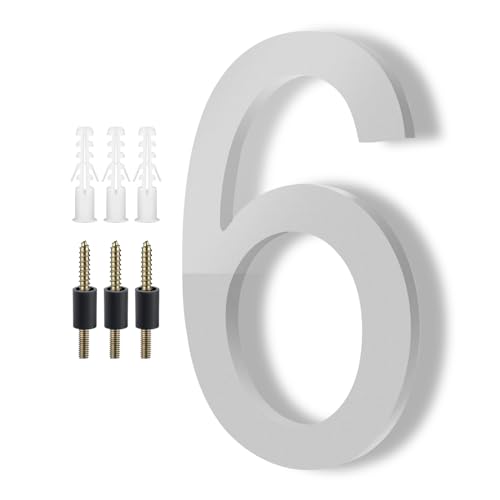 Silver 6