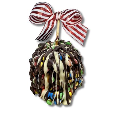 A Sweet Surprise: The Gourmet Jumbo Caramel Apple That Stole the Show