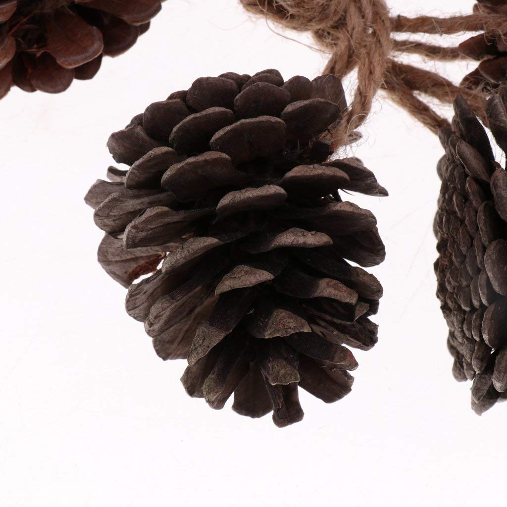 Natural Pine Cone Chewing Bird Toys - Safe Wooden Perches for Parrots, Cockatiels & Conures | Perfect for Cage Enrichment & Beak Trimming