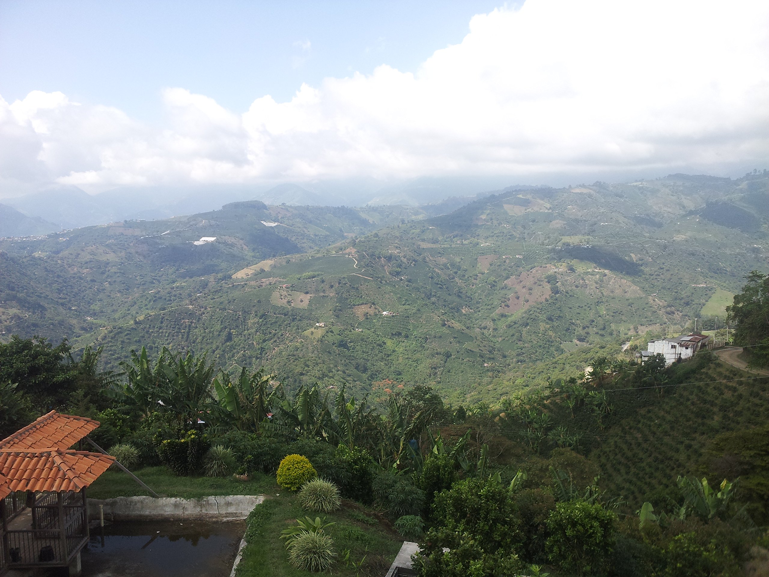 Premium Single Origin Colombian Green Coffee Beans - Unroasted, 20 Lb Bulk - From Los Pirineos Farm - Perfect for Home Roasting, Coffee Shops & Wholesale Businesses
