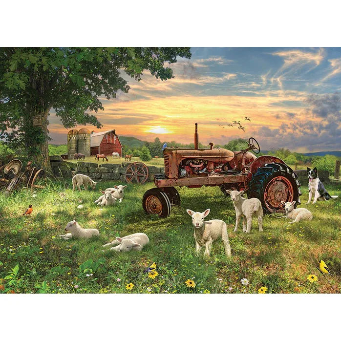 Field at Sunrise Pz1000 - Premium Outdoor Photography Backdrop for Nature Shoots, Landscape Photography & Social Media Content