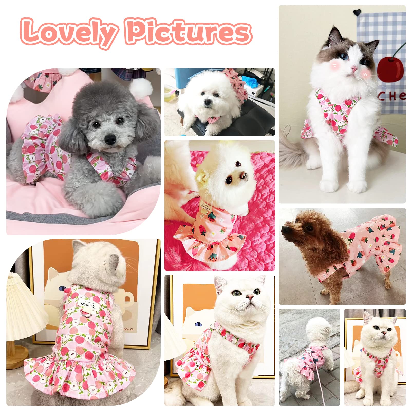 Small Dog Dress Harness & Leash Set - Cute Princess Birthday Outfit, Soft Fruit Print Puppy Dress for Small Dogs & Cats (Pink Apple, XL) | Perfect for Chihuahua, Yorkie, Shih Tzu | Great for Birthday Parties, Photo Shoots & Daily Walks