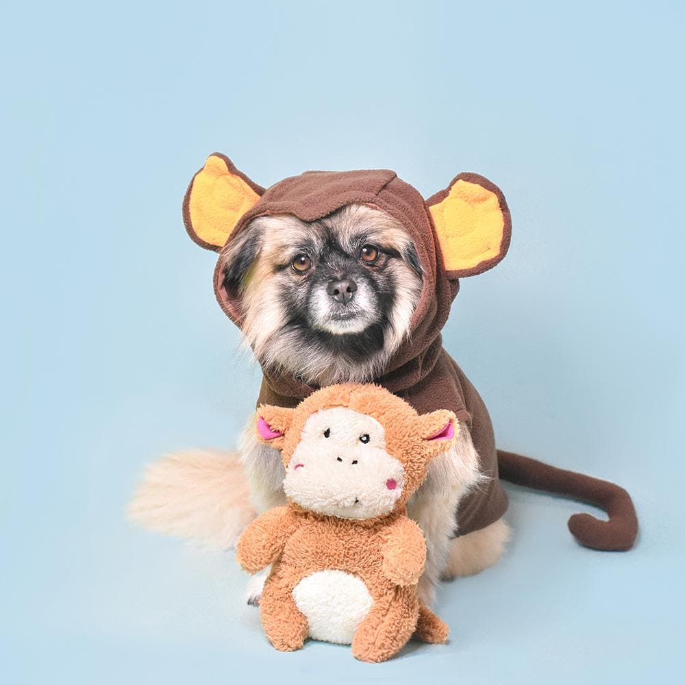 Soft Plush Monkey Toy - Zippy Cheeky Chumz Cuddly Stuffed Animal for Kids | Perfect for Nursery Decor, Birthday Gifts & Sensory Play