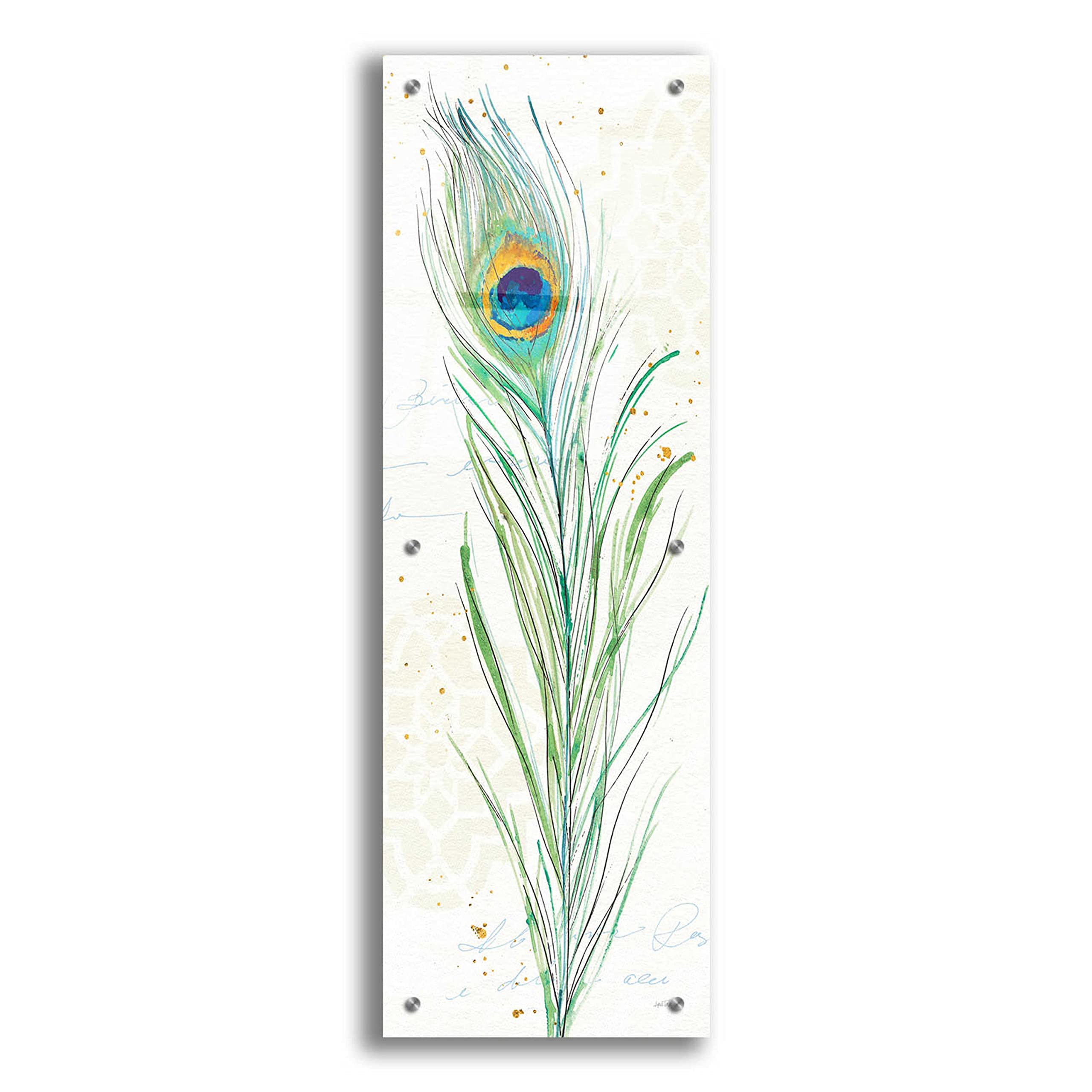 Epic Art 'Peacock Garden VI' by Ann Tavoletti - Vibrant Acrylic Glass Wall Decor 12x36 Inches - Perfect for Living Room, Bedroom & Office Decor