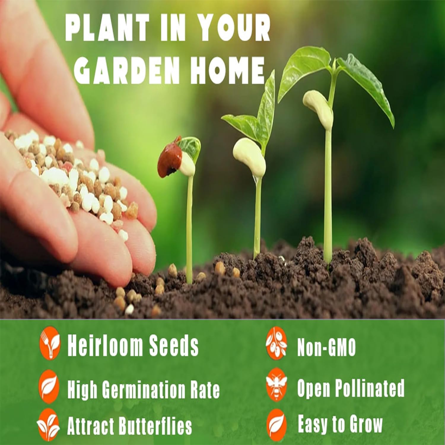 10+ Wild Plum Tree Seeds for Planting - Non-GMO Prunus Americana Perennial Fruit Seeds for Outdoor Gardens | Perfect for Home Orchards, Landscaping & Wildlife Habitats