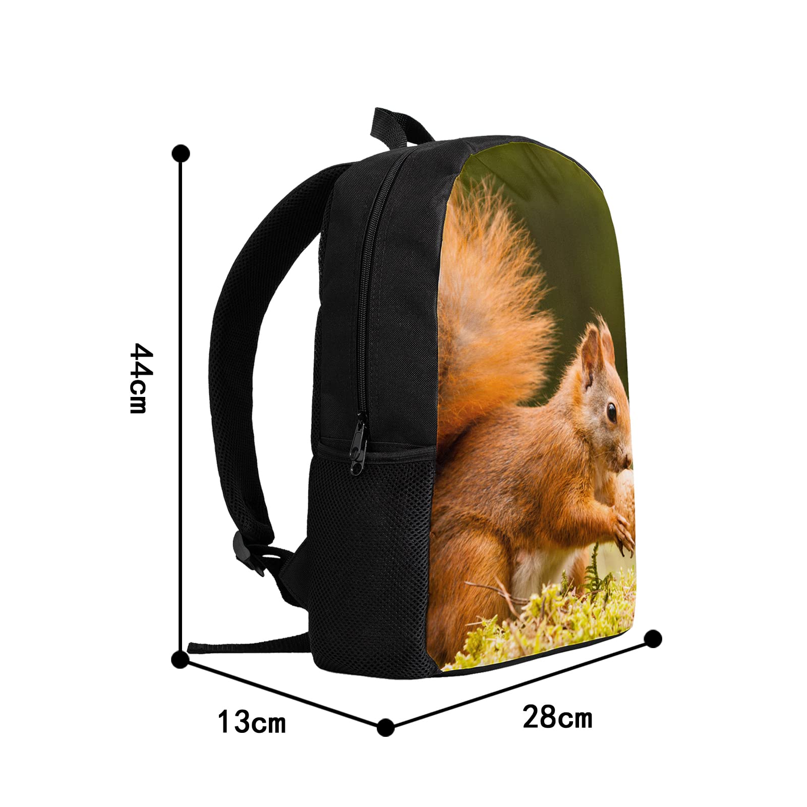 Cute Squirrel Print Backpack for Girls - Kids School Bookbag for Elementary, Middle School & Travel - Perfect for School Supplies, Day Trips & Outdoor Adventures