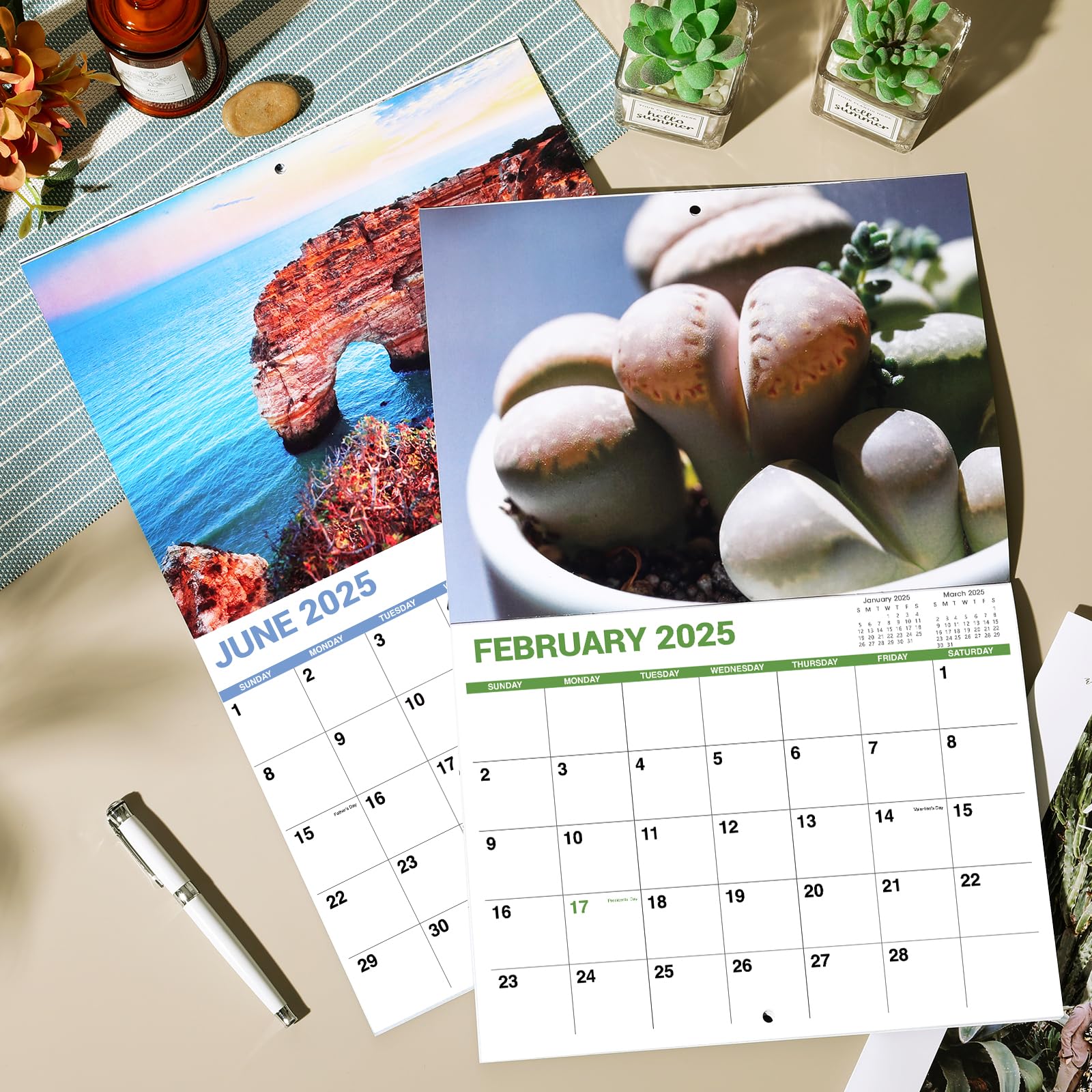 Funny 2025 Wall Calendar - White Elephants Nature's Butts | Thick Paper 8.5
