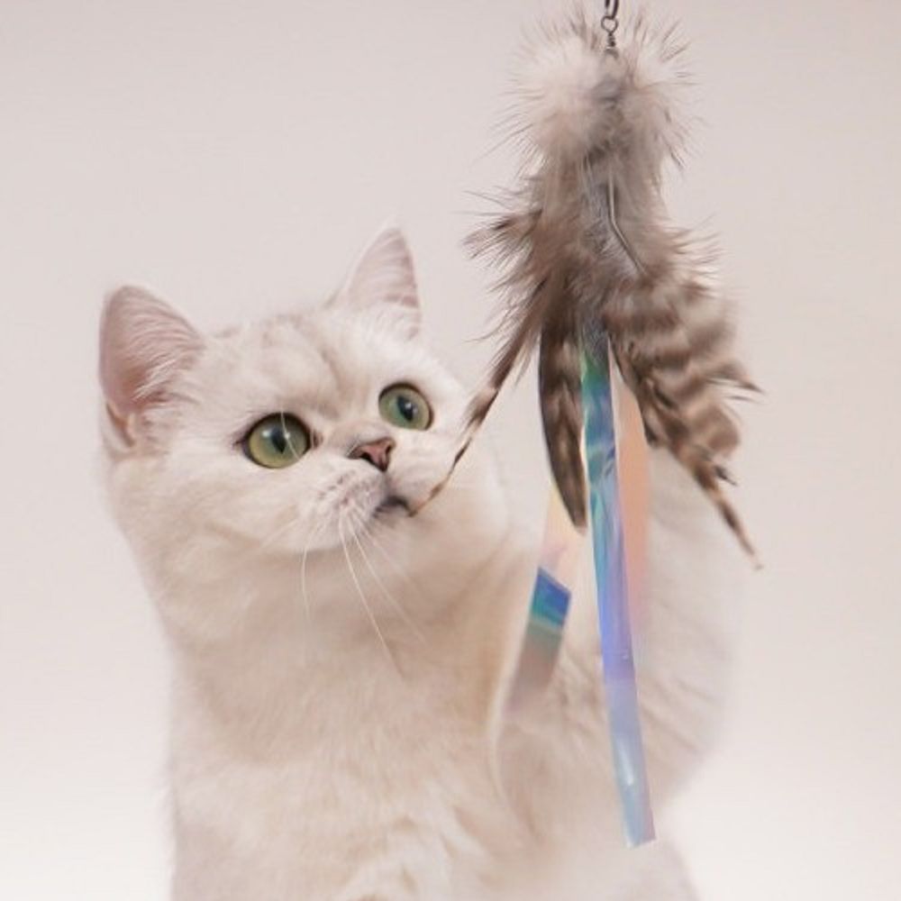 Mongsil Shuttlecock Cat Teaser Replacement - Interactive Feather Toy for Kittens & Adult Cats - Play & Exercise for Indoor Pets - Perfect for Playtime & Bonding with Your Feline Friend