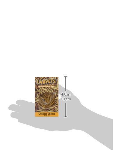 Hotlix Larvets Cheddar Cheese-Flavored Edible Insects - High-Protein Snack for Camping, Hiking & Survival Kits