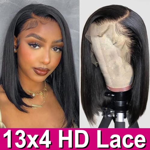 Black Hair Lace Front Wig