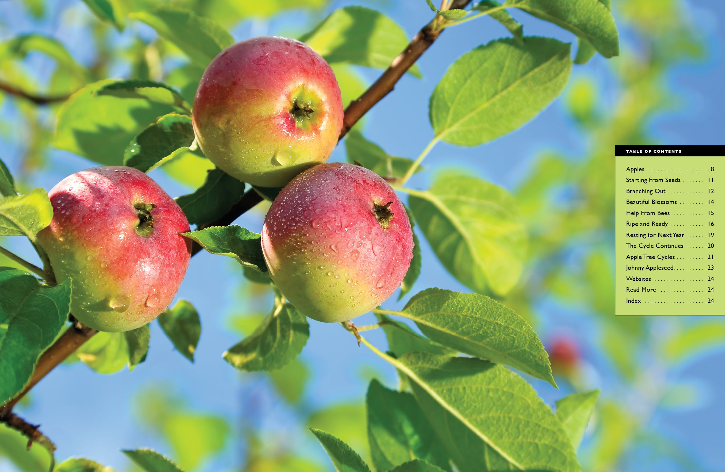 Fresh Organic Apples - Crisp & Juicy for Healthy Snacks, Baking & Smoothies | 9781640268500