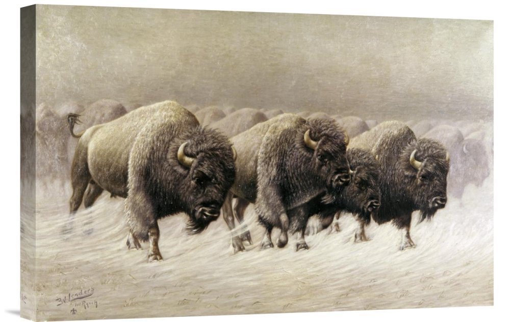 Budget E.W. Lenders 'In The Teeth of The Blizzard' Canvas Wall Art Print - Gallery Wrap Giclee for Living Room, Bedroom & Office Decor