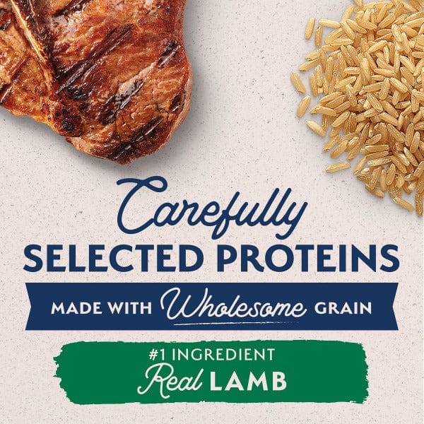 Natural Balance Limited Ingredient Lamb & Brown Rice Recipe Dry Dog Food - Grain Free, Hypoallergenic for Sensitive Stomachs - Perfect for Adult Dogs with Allergies or Digestive Issues