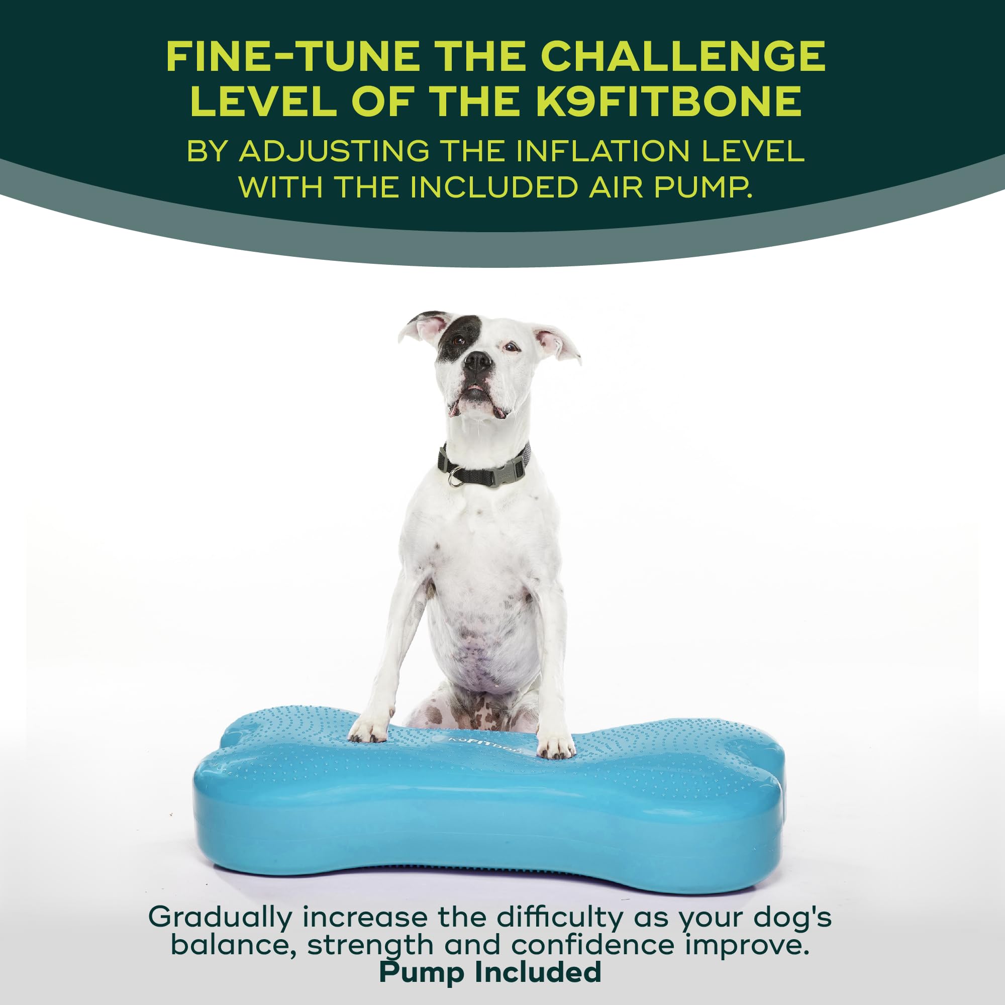 FitPAWS K9FITbone Giant Dog Balance Training Platform - Turquoise Exercise Equipment for Core Strength & Stability | Workout Tool for Canine Fitness | Perfect for Agility Training, Rehabilitation & Home Gym Use