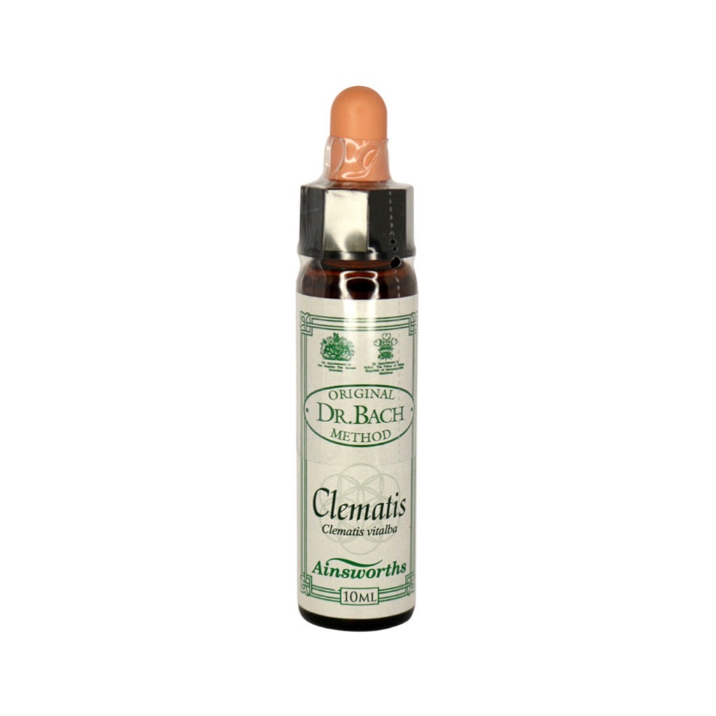 Dr. Bach Original Flower Essence Clematis - Natural Stress Relief & Focus Aid for Meditation, Work & Study | AINSWORTHS