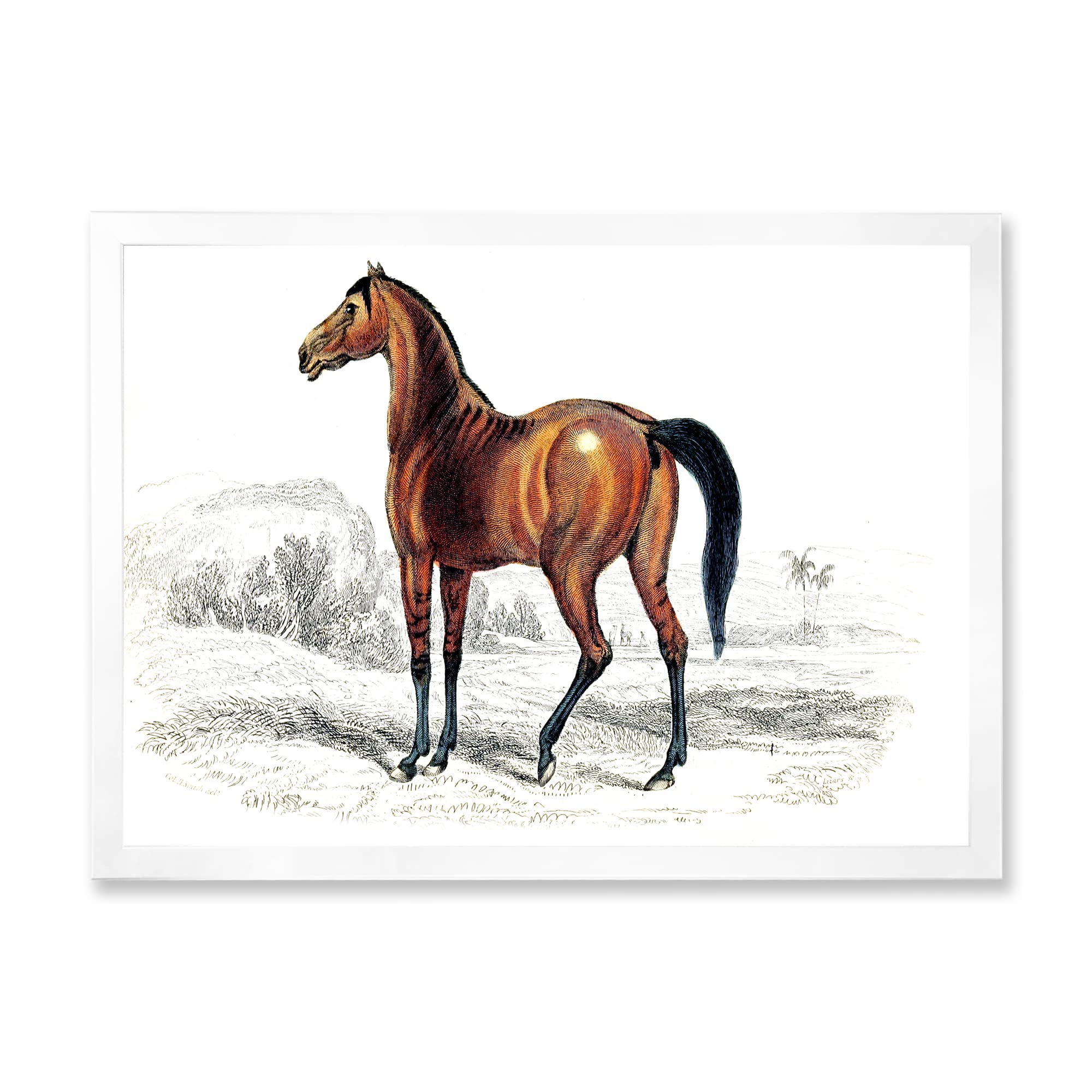 Vintage Horse Farmhouse Framed Wall Art - Rustic Country Decor for Living Room, Bedroom & Office - Perfect Western Home Decor Gift