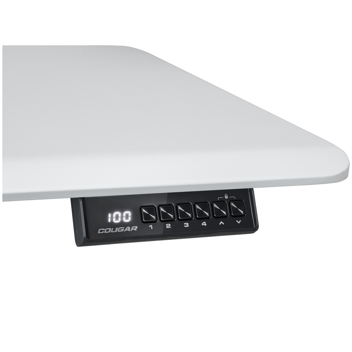 Cougar ROYAL MOSSA 120 Electric Height Adjustable Standing Desk - Perfect for Home Office, Gaming Setup and Workspace Ergonomics