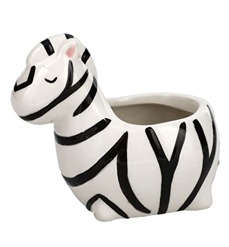 Zina the Zebra