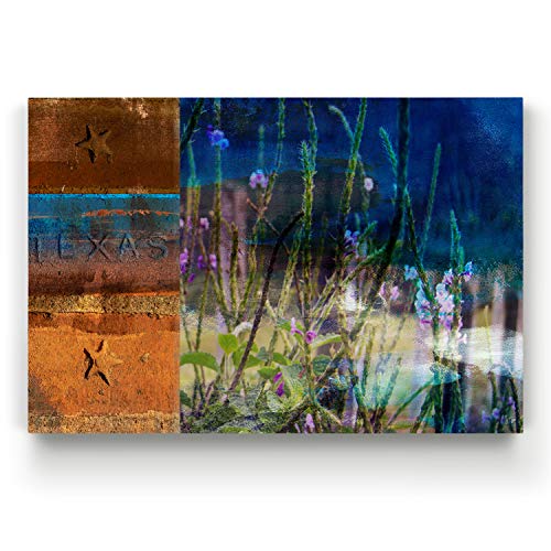 Texas Wildflowers