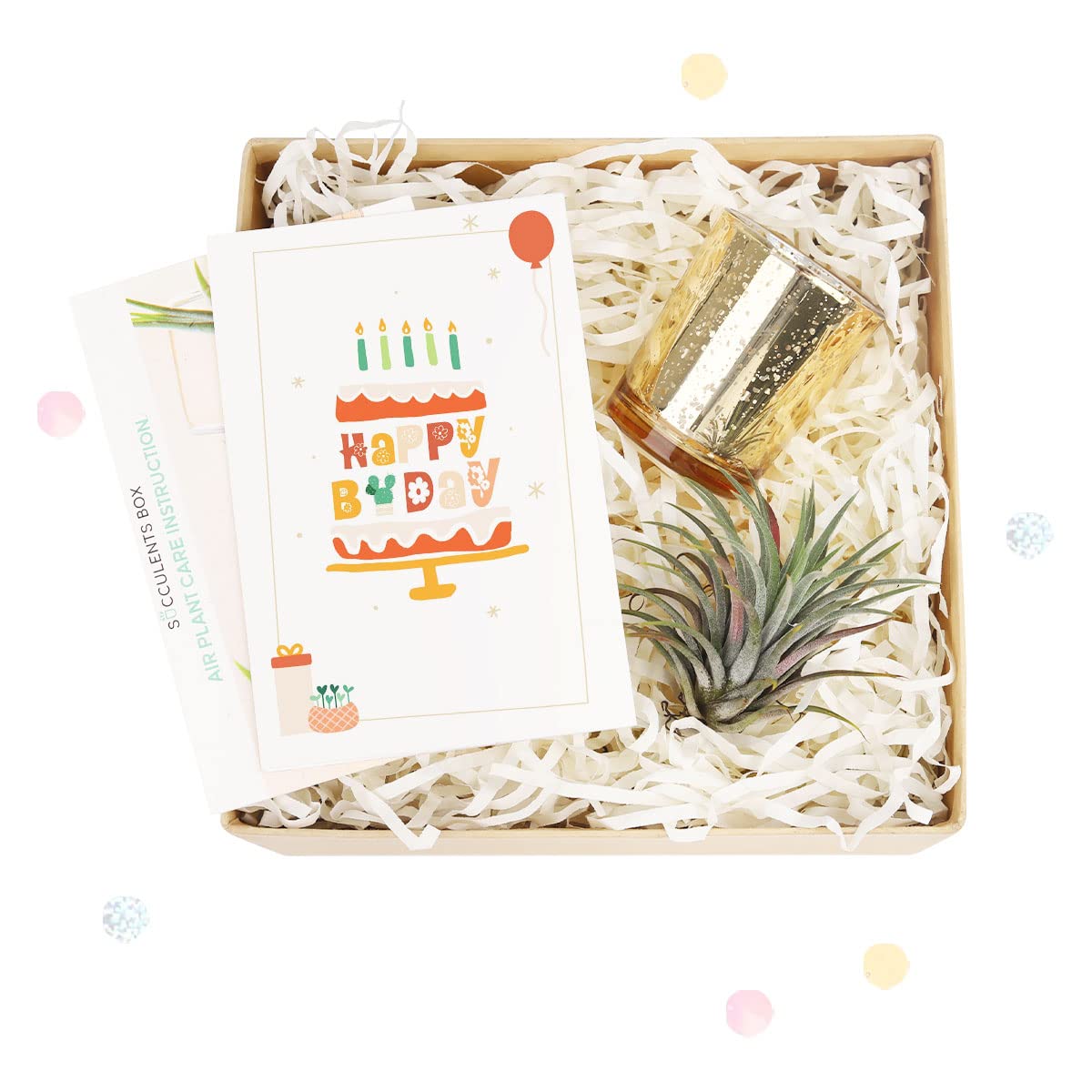 Air Plant Gift Box with Thank You Greeting Card - Unique Tillandsia Gift Set for Plant Lovers - Perfect Birthday, Anniversary & Housewarming Present for Him or Her - Ideal for Home Decor, Office Desk & Wedding Favors