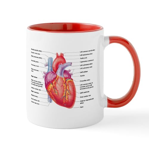 White/Red Inside - Human Heart Mugs