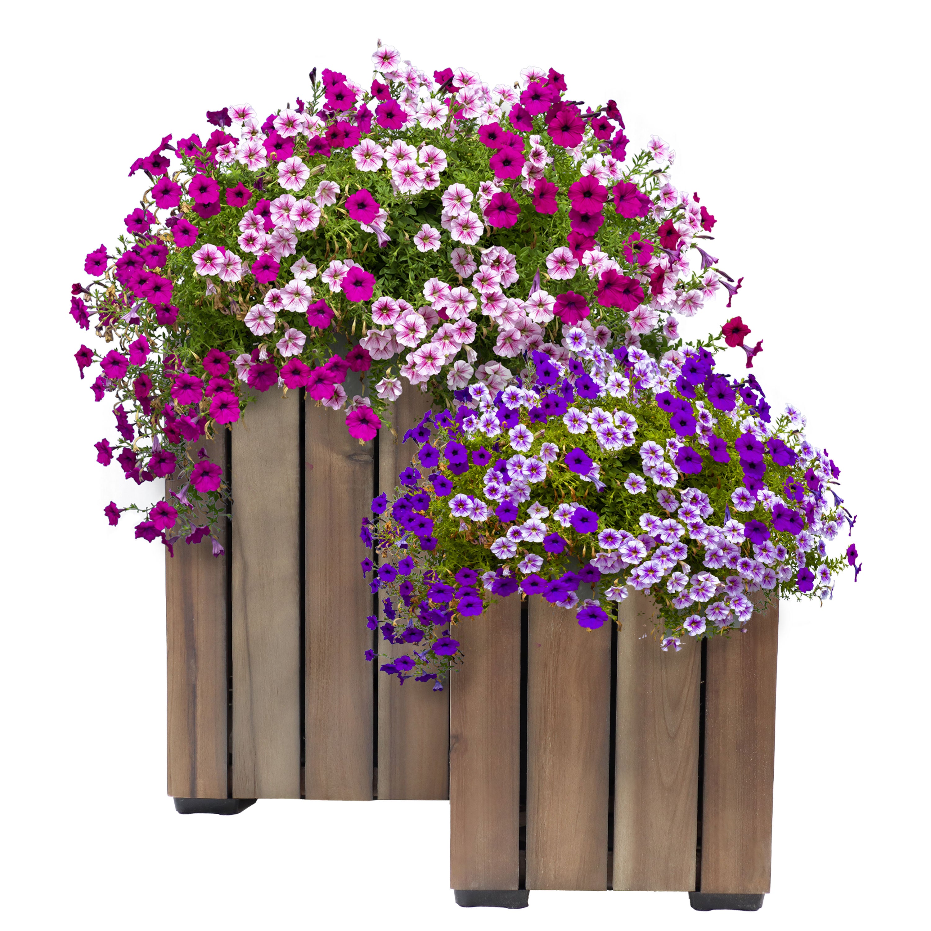 Sunnydaze 2-Piece Wooden Planter Box Set with Vertical Planks - Outdoor Garden Decor for Flowers, Herbs & Plants - Perfect for Patio, Balcony & Backyard Gardening