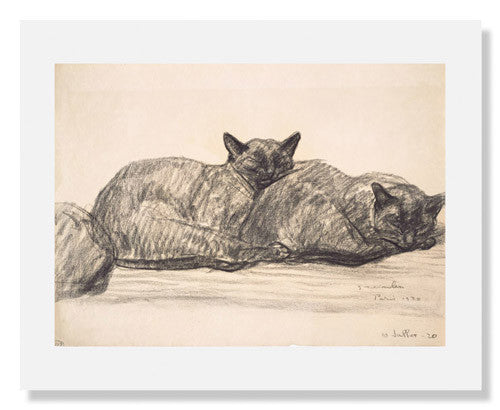 Théophile Alexandre Steinlen Two Cats Sleeping Art Print - Vintage Cat Lovers Wall Decor for Living Room, Bedroom & Office