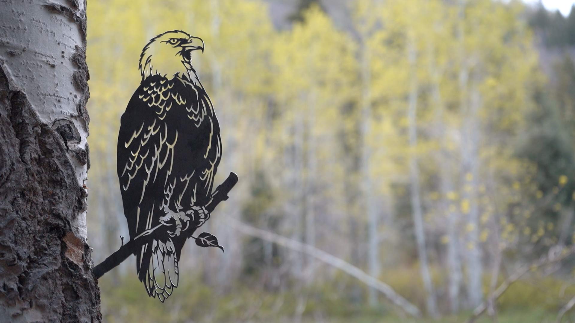 Steel Bald Eagle Wall Decor | Handcrafted Metal Art for Garden, Backyard & Tree | Corten Steel Silhouette with Patina Rust Finish | Perfect for Outdoor & Rustic Home Decor