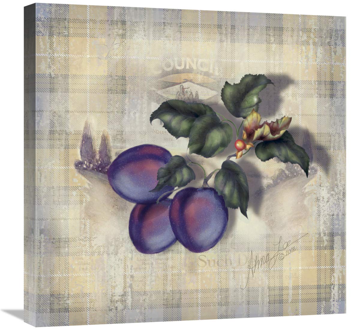Global Gallery Tartan Fruit Plum Canvas Art Print - 24x24 Inches - Modern Wall Decor for Living Room, Bedroom & Office